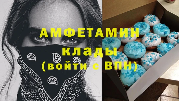 винт Абаза