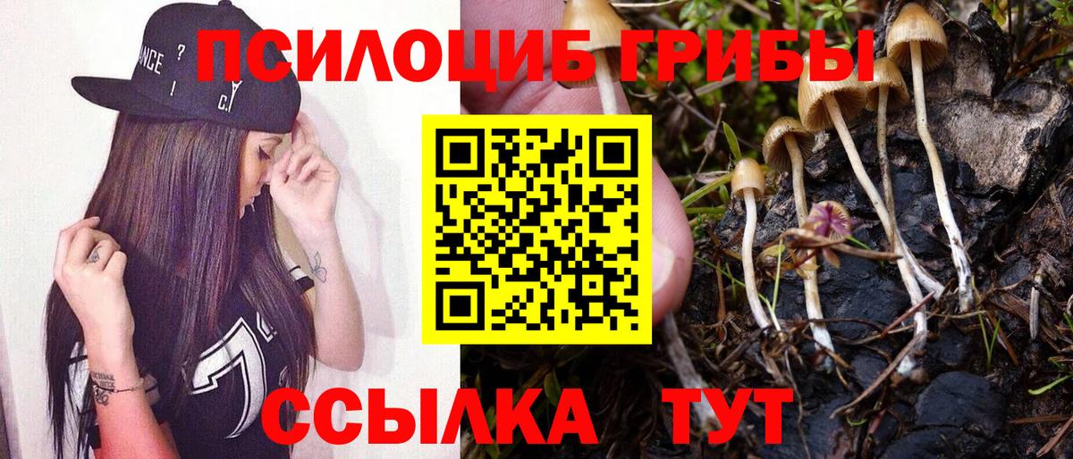 Галлюциногенные грибы Magic Shrooms  Псилоцибиновые грибы Psilocybine cubensis  Александров  Вход с VPN 