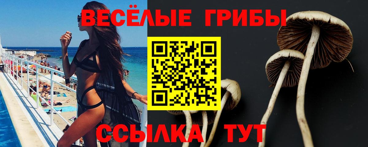 Псилоцибиновые грибы мухоморы Александров
